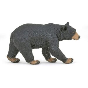 American Black Bear