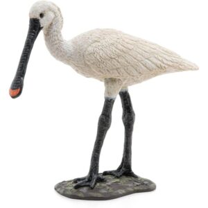 Eurasian Spoonbill (Papo)