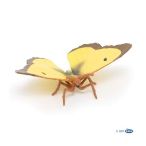 Clouded Yellow Btrfly (Papo)