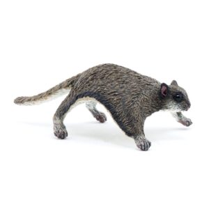 Flying Squirrel