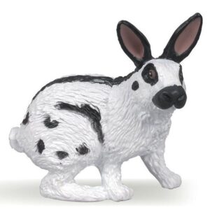 Papillon Rabbit