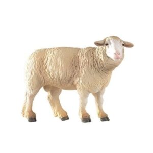 Merinos Sheep