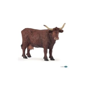Salers Cow