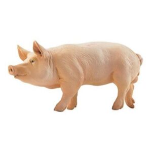 Boar (Standing)