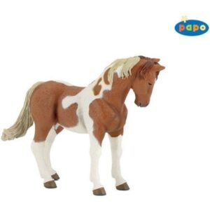 Pinto Horse Mare