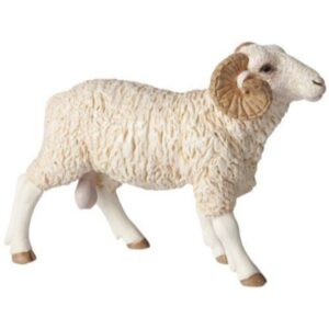 Ram