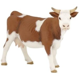 Simmental Cow