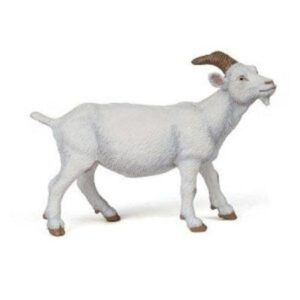 White Nanny Goat