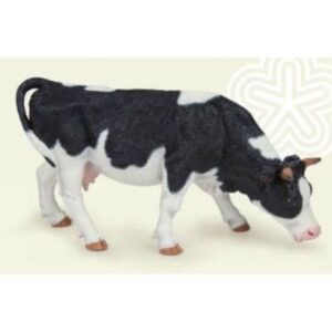 Black & White Grazing Cow