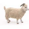 Angora Goat