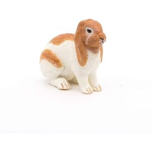 Lop Rabbit