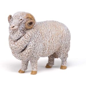 Merinos Sheep