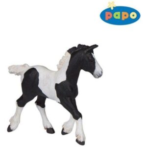 Black Cob Foal