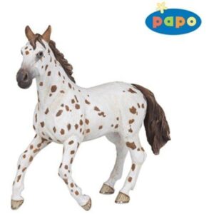 Appaloosa Mare