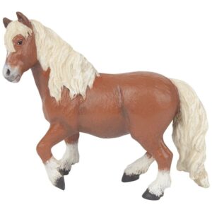 Shetland Pony