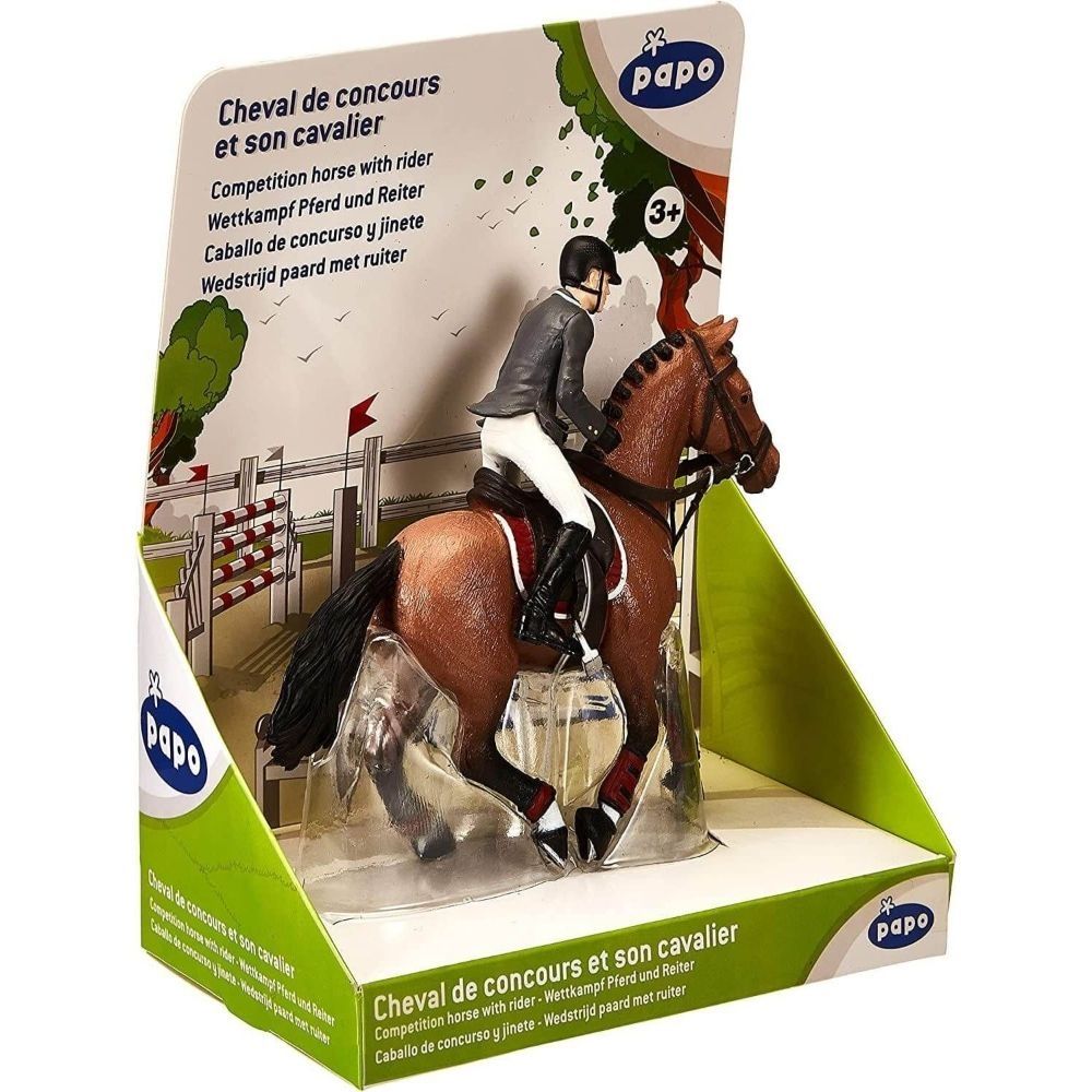 Competition Horse W/Rider