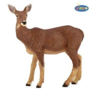 Doe