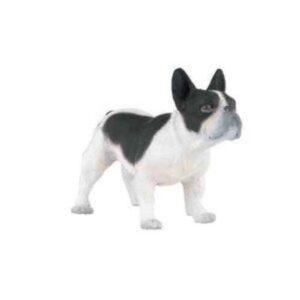 French Black & White Bulldog
