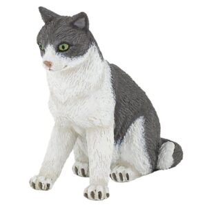 Cat Sitting Down
