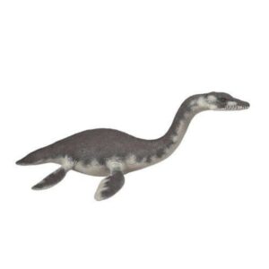 Plesiosaurus