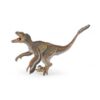 Feathered Velociraptor