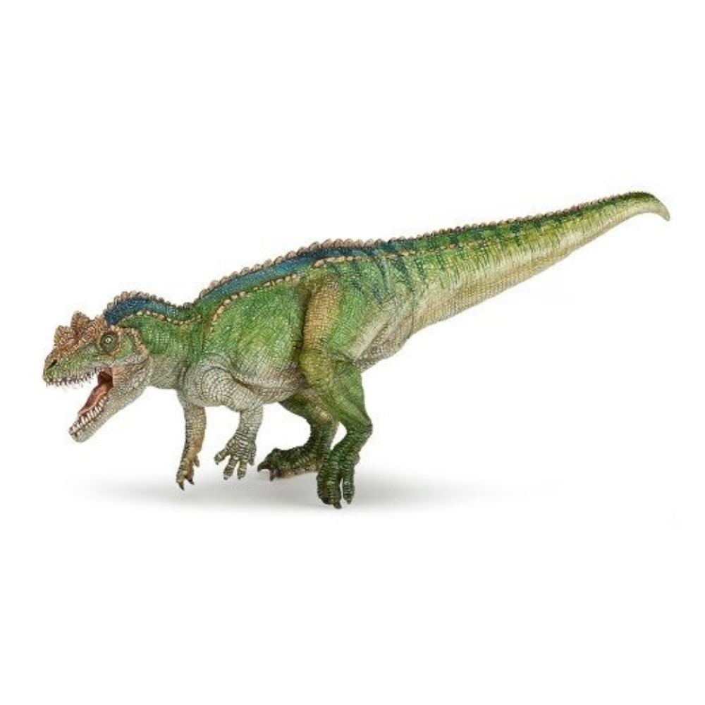 Ceratosaurus Dinosaur