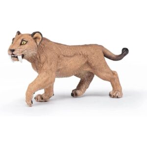 Young Smilodon