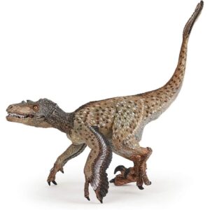 Feathered Velociraptor