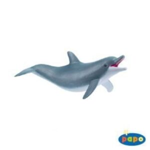 Playing Dolphin