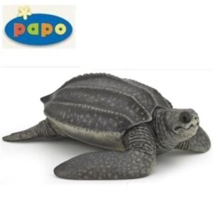 Leatherback Turtle