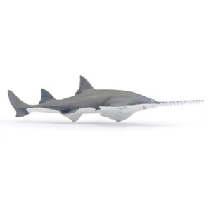 Sawfish
