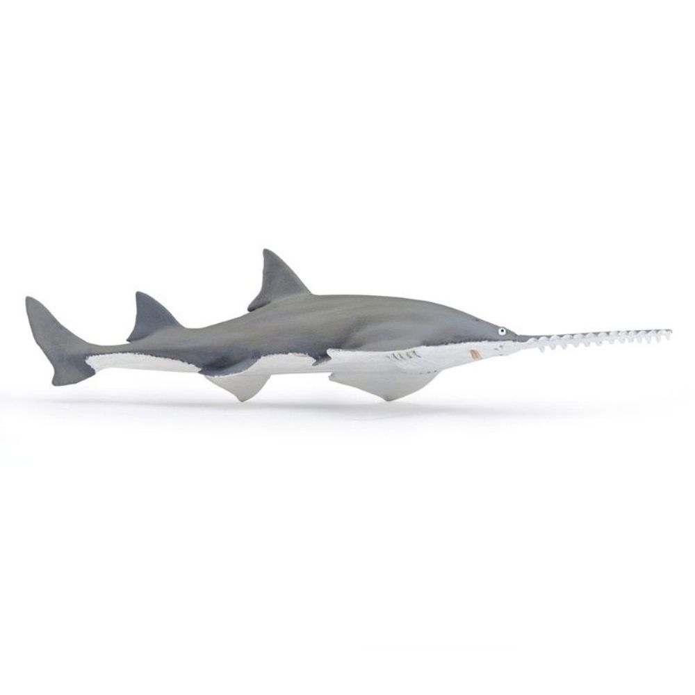 Sawfish