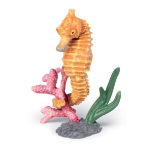 Seahorse