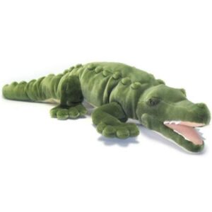Saltwater Crocodile 36