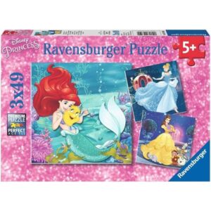 Princesses Adventure 3X49