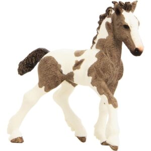 Tinker Foal