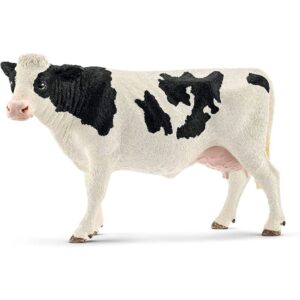 Holstein Cow