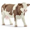 Simmental Cow