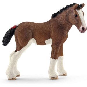 Clydesdale Foal