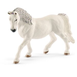Lipizzaner Mare
