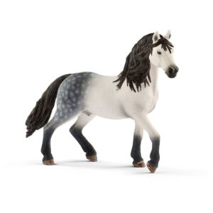 Andalusian Stallion