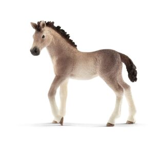 Andalusian Foal