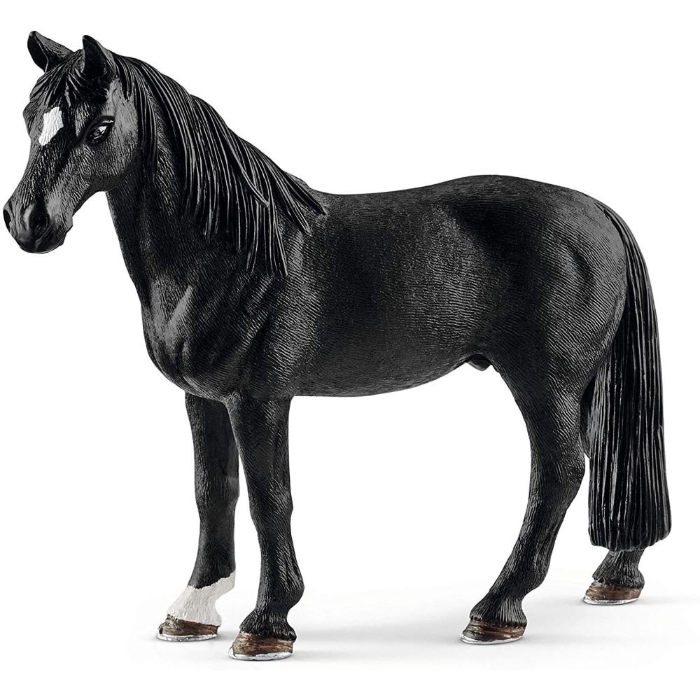 Tennessee Walker Gelding