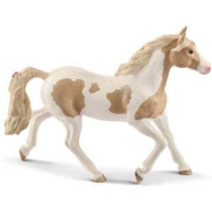Paint Horse Mare