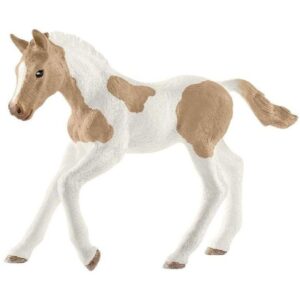 Paint Horse Foal