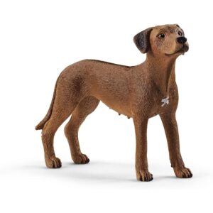Rhodesian Ridgeback