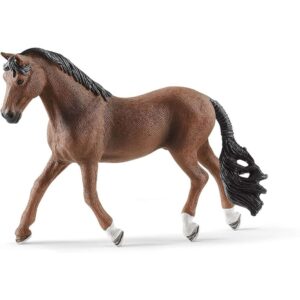 Trakehner Gelding