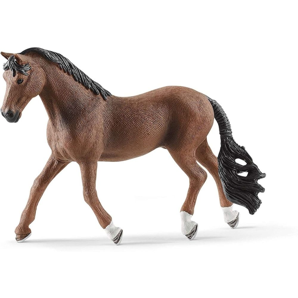 Trakehner Gelding