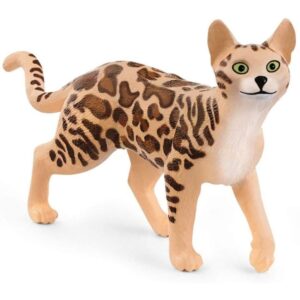 Bengal Cat