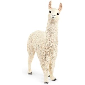 Llama